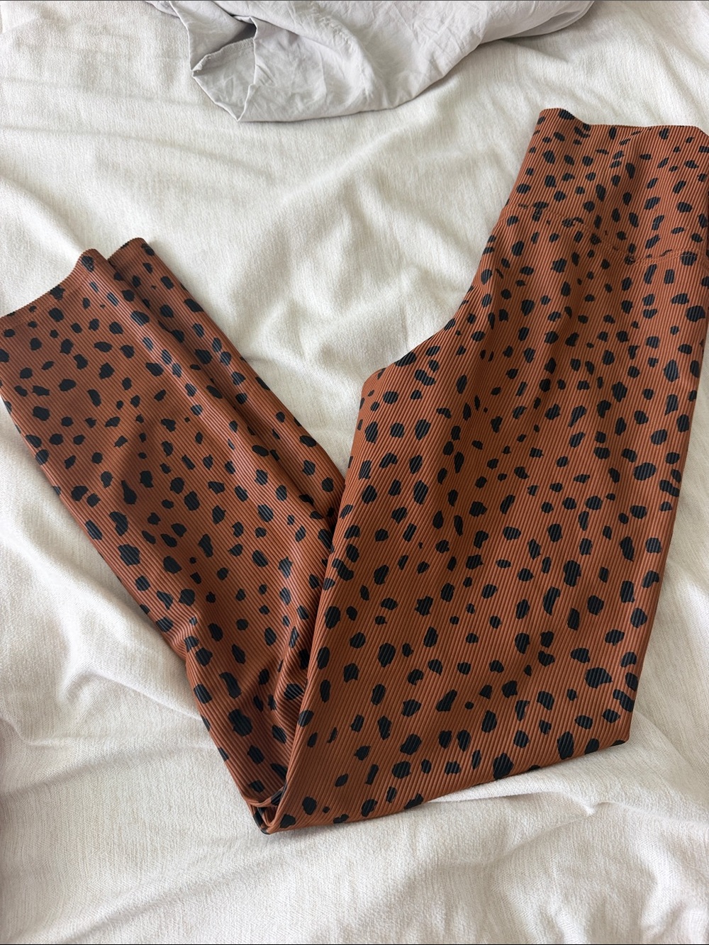 Beach Riot Leopard-Spot Ribbed Leggings in Rust and Black